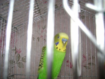 x_825d4efe.jpg