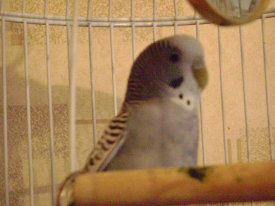 DSC00508.JPG