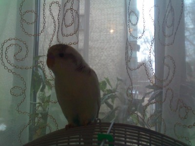 IMG0788A11.jpg