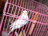 DSCF0029.JPG