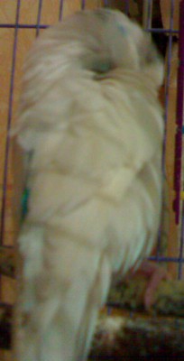 18042010090-001.jpg