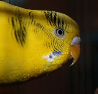 IMG_59111.jpg