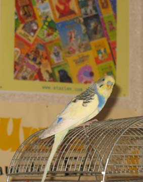 IMG_z.jpg