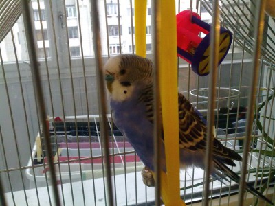 21042010058.jpg