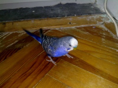 21042010057.jpg