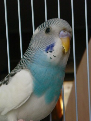 DSC01137-1.JPG
