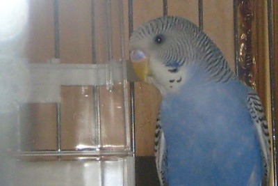 S6302708.JPG
