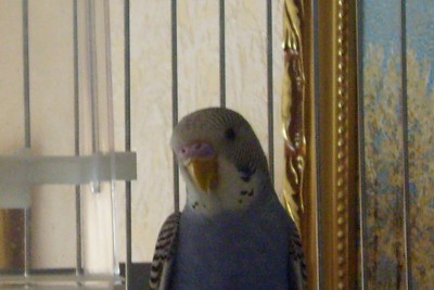 S6302715.JPG