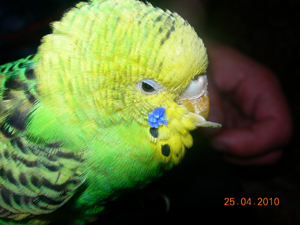 DSCN3173.JPG