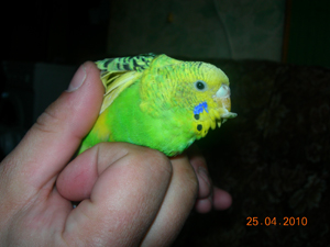 DSCN3171.JPG