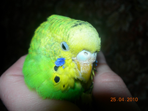 DSCN3169.JPG