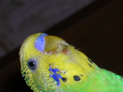 RSCN2597.JPG