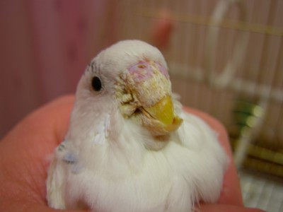 Копия DSCN4022.jpg