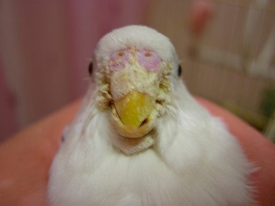 Копия DSCN4024.jpg