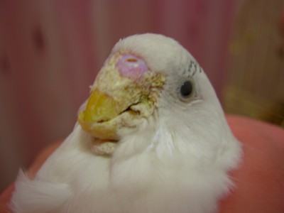 Копия DSCN4025.jpg