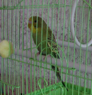 DSC01226.jpg