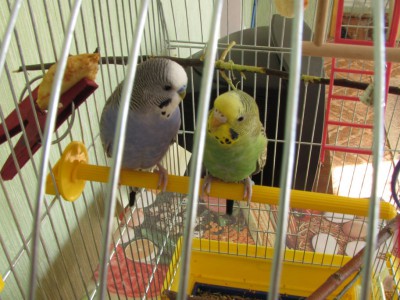 IMG_1975_1.jpg