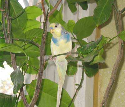 IMG_jjjjjjjjpg.jpg