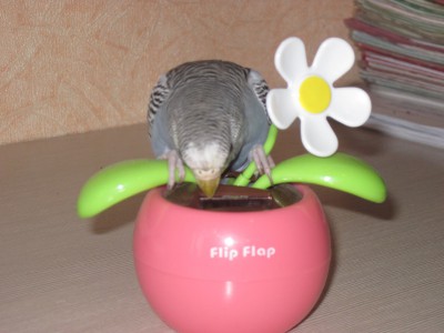 Нюшка 046.jpg