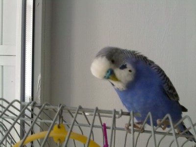 15052010108.jpg