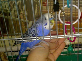 13052010087.jpg