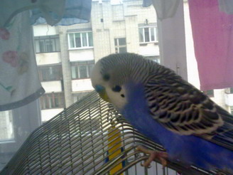 13052010086.jpg