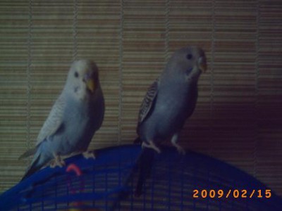 PICT0050.JPG