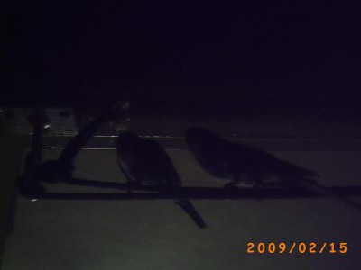 PICT0056.JPG