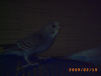PICT0063.JPG