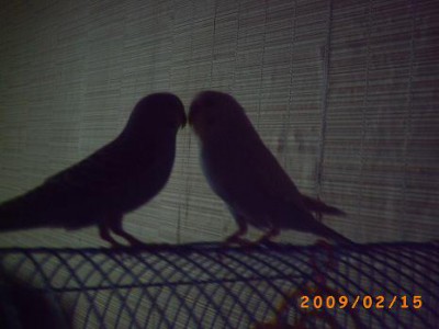 PICT0064.JPG