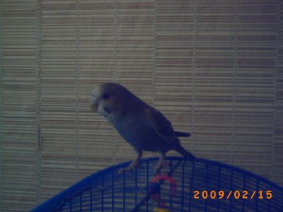 PICT0068.JPG