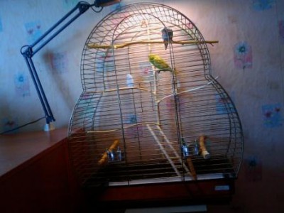 IMAG0033.jpg