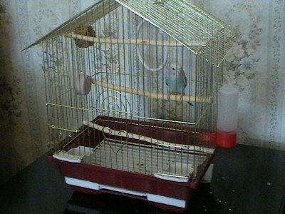 IMGA0203.JPG