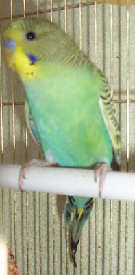 100_7403.jpg