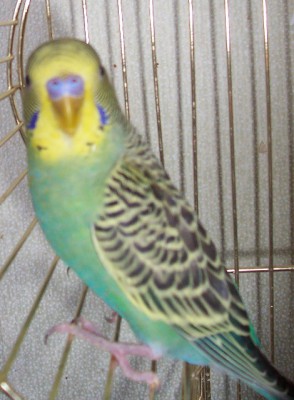 100_7406.jpg