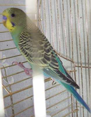 100_7405.jpg