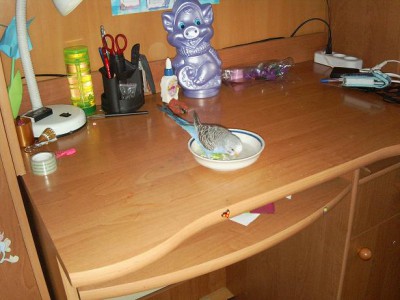 PIC_0002.JPG
