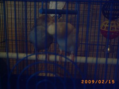 PICT0071.JPG