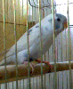Фото 0967.gif