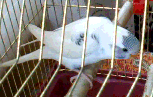 Фото .gif