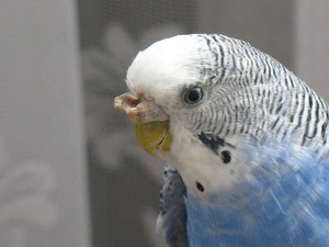 img 0101.jpg