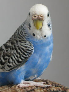 img 0151.jpg