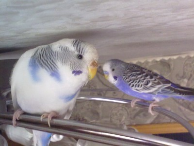 01062010207.jpg