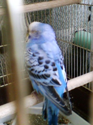 img02189.jpg