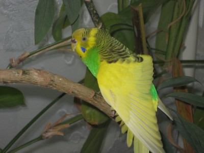 x_c701a644.jpg