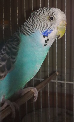 10062010005.jpg