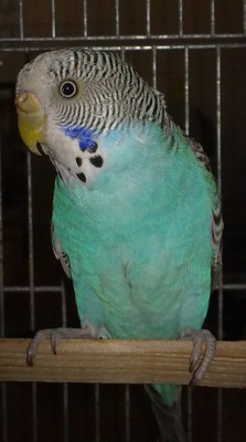 10062010006.jpg