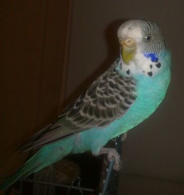 10062010011.jpg