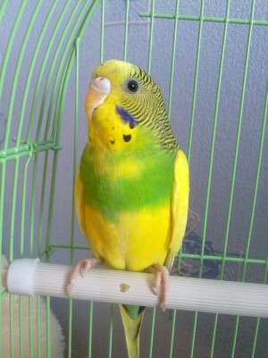 11062010616.jpg