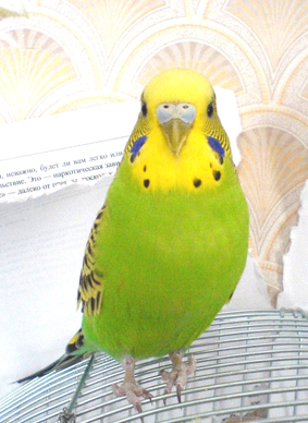 DSC01119.jpg